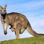 ヒメ日記 2025/09/26 12:56 投稿 かなで 京都の痴女鉄道
