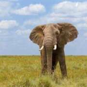 ヒメ日記 2025/09/27 23:38 投稿 かなで 京都の痴女鉄道