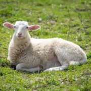 ヒメ日記 2025/09/29 01:30 投稿 かなで 京都の痴女鉄道