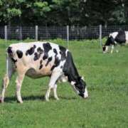 ヒメ日記 2025/09/29 23:26 投稿 かなで 京都の痴女鉄道