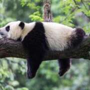 ヒメ日記 2025/10/20 19:26 投稿 かなで 京都の痴女鉄道