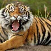 ヒメ日記 2025/10/24 19:26 投稿 かなで 京都の痴女鉄道