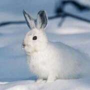 ヒメ日記 2025/10/28 19:26 投稿 かなで 京都の痴女鉄道