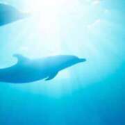 ヒメ日記 2025/10/31 22:36 投稿 かなで 京都の痴女鉄道