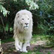 ヒメ日記 2025/11/03 15:29 投稿 かなで 京都の痴女鉄道