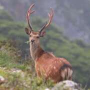 ヒメ日記 2025/11/17 00:16 投稿 かなで 京都の痴女鉄道
