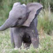 ヒメ日記 2025/11/28 00:16 投稿 かなで 京都の痴女鉄道