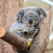 ヒメ日記 2025/12/01 00:16 投稿 かなで 京都の痴女鉄道