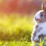 かなで 🚃🫧🚶‍♀️‍➡️ 京都の痴女鉄道