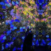 ヒメ日記 2025/12/22 08:06 投稿 かなで 京都の痴女鉄道