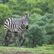 ヒメ日記 2025/12/22 17:26 投稿 かなで 京都の痴女鉄道