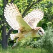 ヒメ日記 2026/01/02 18:27 投稿 かなで 京都の痴女鉄道