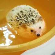 ヒメ日記 2026/01/29 17:26 投稿 かなで 京都の痴女鉄道