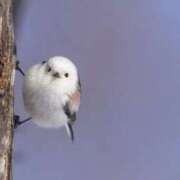 ヒメ日記 2026/02/08 22:26 投稿 かなで 京都の痴女鉄道