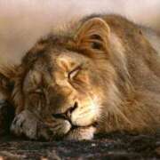 ヒメ日記 2026/02/13 17:26 投稿 かなで 京都の痴女鉄道