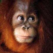 ヒメ日記 2026/02/19 14:26 投稿 かなで 京都の痴女鉄道