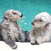 ヒメ日記 2026/03/14 20:29 投稿 かなで 京都の痴女鉄道