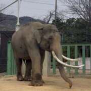 ヒメ日記 2026/03/18 18:26 投稿 かなで 京都の痴女鉄道