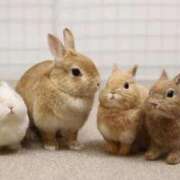 ヒメ日記 2026/03/24 15:26 投稿 かなで 京都の痴女鉄道