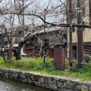 ヒメ日記 2026/03/26 11:49 投稿 かなで 京都の痴女鉄道