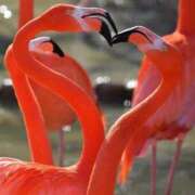 ヒメ日記 2026/03/26 17:26 投稿 かなで 京都の痴女鉄道