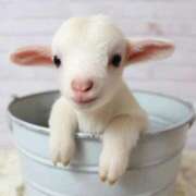 ヒメ日記 2026/03/27 15:56 投稿 かなで 京都の痴女鉄道