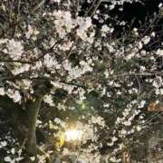 ヒメ日記 2026/03/30 20:16 投稿 かなで 京都の痴女鉄道