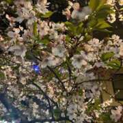 ヒメ日記 2026/04/07 13:26 投稿 かなで 京都の痴女鉄道