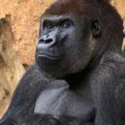 ヒメ日記 2026/04/10 15:26 投稿 かなで 京都の痴女鉄道