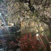 ヒメ日記 2026/04/11 12:26 投稿 かなで 京都の痴女鉄道