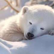 ヒメ日記 2026/04/24 13:16 投稿 かなで 京都の痴女鉄道