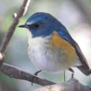 ヒメ日記 2026/04/27 15:16 投稿 かなで 京都の痴女鉄道