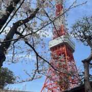 ヒメ日記 2025/04/05 20:20 投稿 永井もも 麗しいマダム