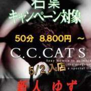 ヒメ日記 2024/05/09 12:29 投稿 ゆず C.C.CATS