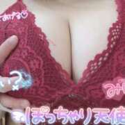 ヒメ日記 2026/04/02 19:36 投稿 ひとり 千葉柏ちゃんこ