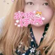 ヒメ日記 2026/05/12 18:11 投稿 ひとり 千葉柏ちゃんこ