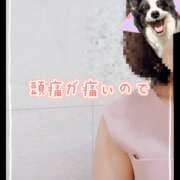 ヒメ日記 2025/02/23 10:01 投稿 きらら DEEP BLACK