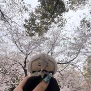 ヒメ日記 2025/04/03 12:01 投稿 りりちよ あるまぎ！