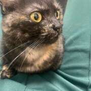 ヒメ日記 2025/06/07 11:49 投稿 りりちよ あるまぎ！