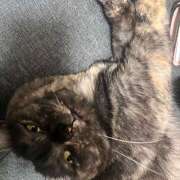 ヒメ日記 2025/06/10 11:54 投稿 りりちよ あるまぎ！