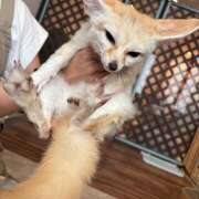 ヒメ日記 2025/07/29 14:59 投稿 りりちよ あるまぎ！