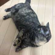 ヒメ日記 2025/08/24 12:05 投稿 りりちよ あるまぎ！