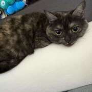 ヒメ日記 2025/12/30 12:05 投稿 りりちよ あるまぎ！