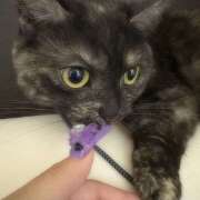 りりちよ 出勤乱舞 あるまぎ！