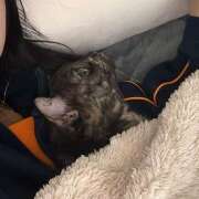 ヒメ日記 2026/02/01 12:04 投稿 りりちよ あるまぎ！