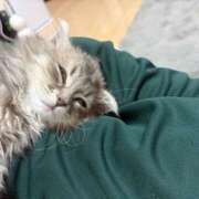 ヒメ日記 2026/02/21 12:10 投稿 りりちよ あるまぎ！