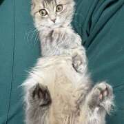 ヒメ日記 2026/03/28 14:44 投稿 りりちよ あるまぎ！