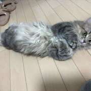 ヒメ日記 2026/10/11 16:10 投稿 りりちよ【あるまぎ！】 あるまぎ！
