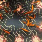 ヒメ日記 2025/03/19 18:38 投稿 めぐ あるまぎ！