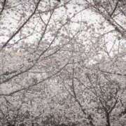 ヒメ日記 2025/04/03 15:38 投稿 めぐ あるまぎ！